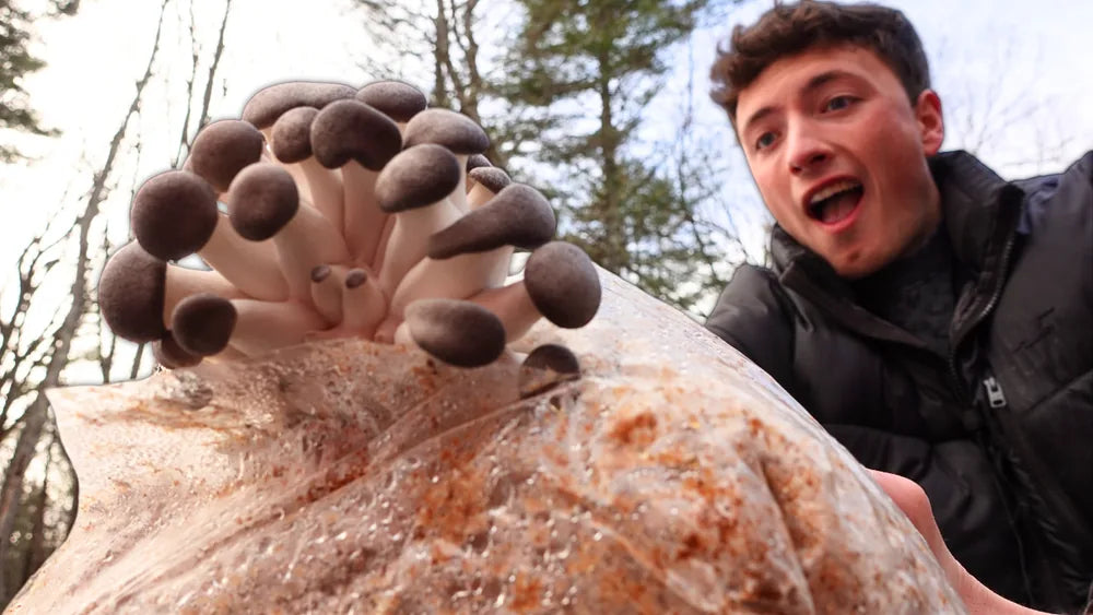 Hunter sharing a mushroom grow kit