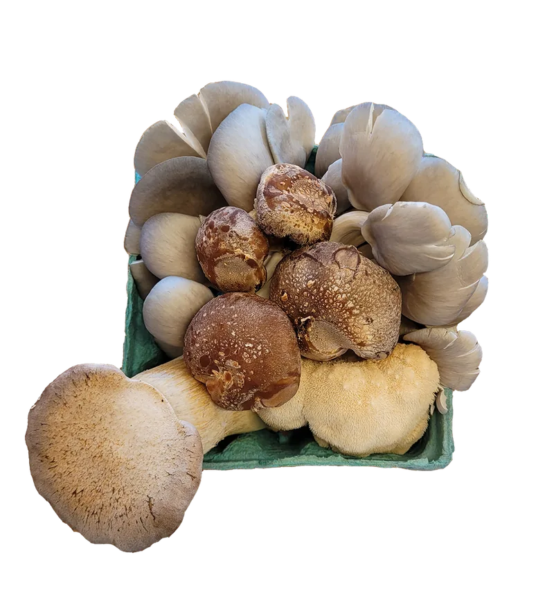 Mushrooms prepared for local customers
